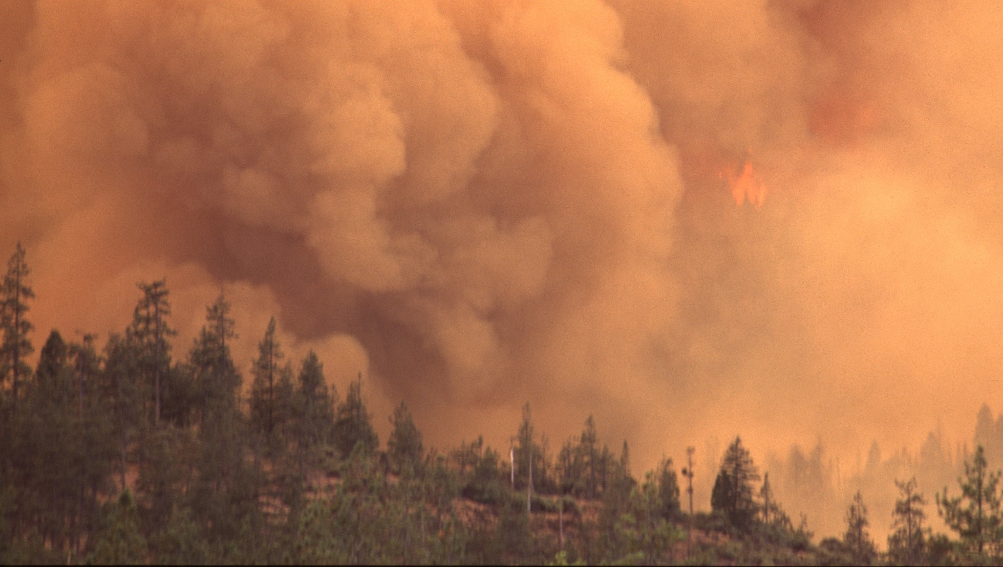 Wildfires Alter Air Pollution Patterns Across North America